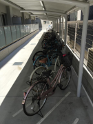 自転車置き場