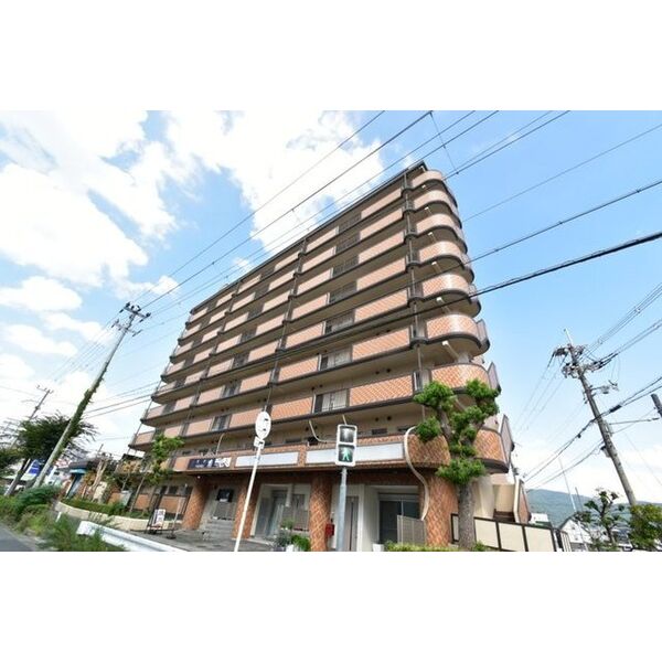 シロハイヌ今米09階 外観の画像