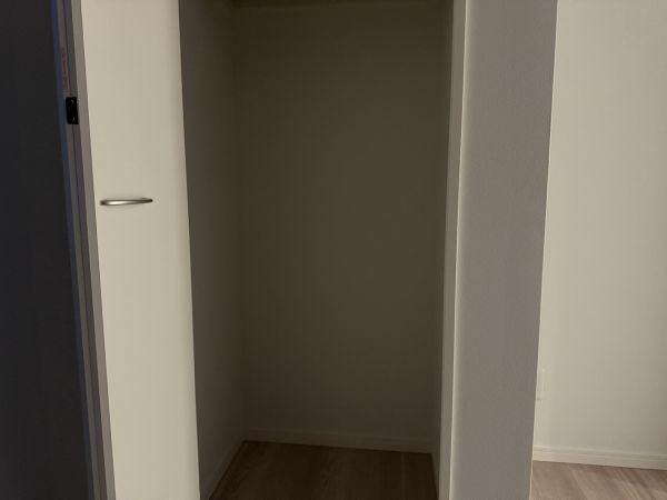 CRASTINE中在家町B3階1LDK 収納の画像