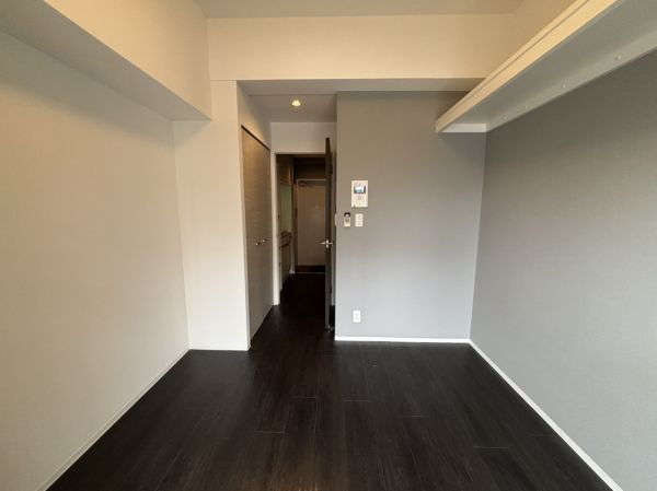 エルミタージュ難波Ⅵ7階1R 部屋②の画像