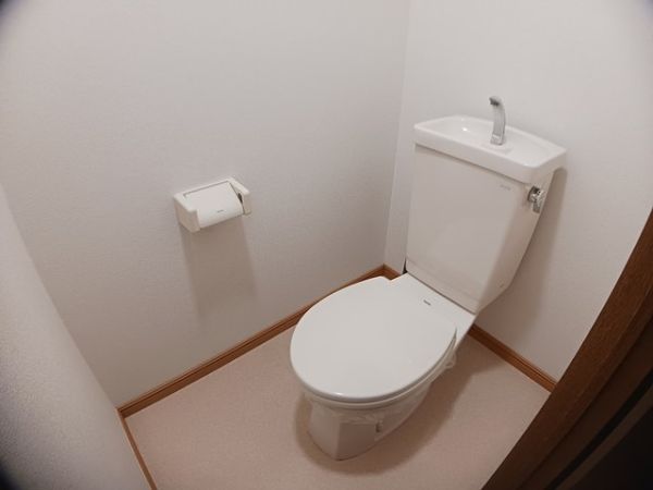 サウスタウンＦ1階3LDK トイレの画像