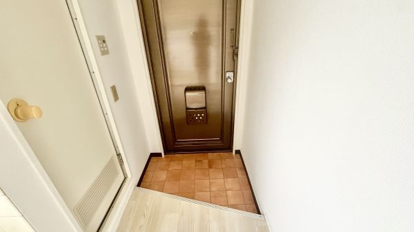 川辺ビル383階1R 玄関の画像