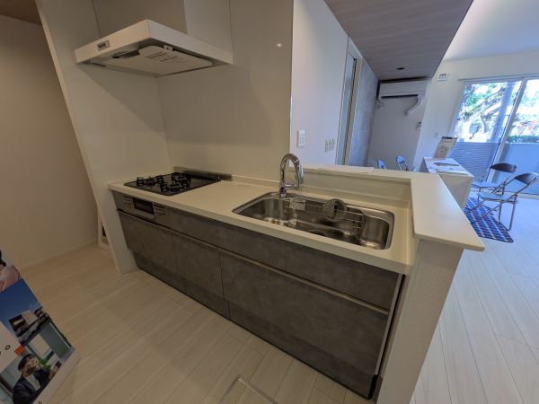 D-ROOM上新庄南口1階2LDK キッチンの画像
