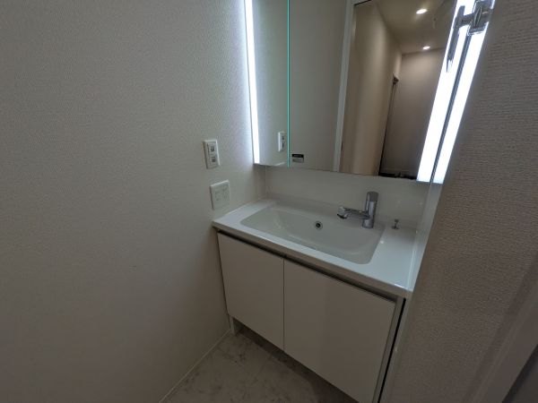 D-ROOM上新庄南口1階2LDK 洗面所の画像