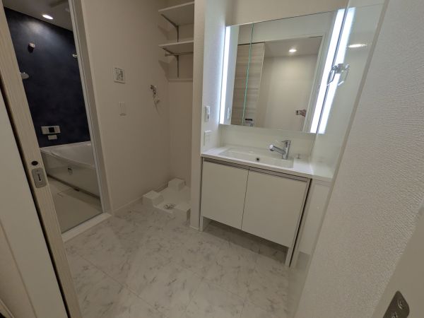 D-ROOM上新庄南口1階2LDK 洗面所の画像