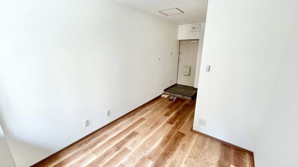 川辺ビル1階1R 部屋①の画像