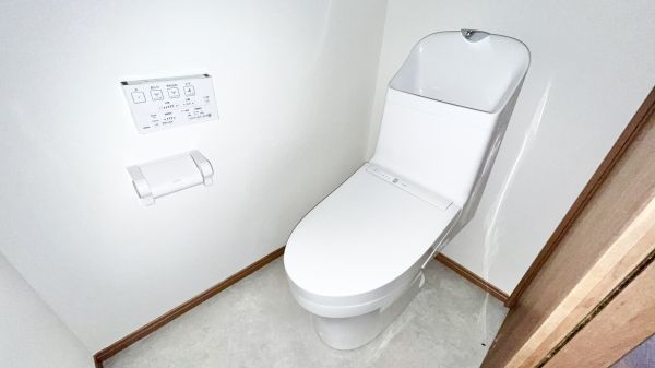 川辺ビル1階1R トイレの画像