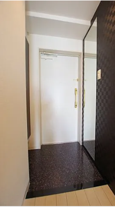 ARROW FIELDS貮番館9階1DK 玄関の画像