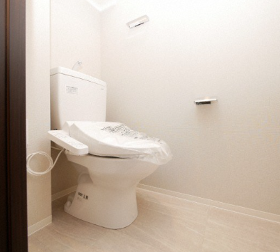 コンフォリア・リヴ新大阪Q8階1DK トイレの画像