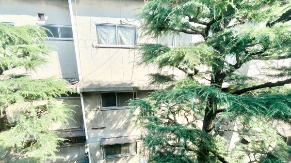パラドール北加賀屋3階1R 景観の画像