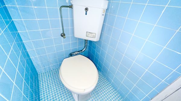トーカイプラザ壱号館4階2DK トイレの画像