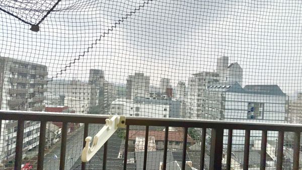 ラパンジール住吉大社9階 景観の画像