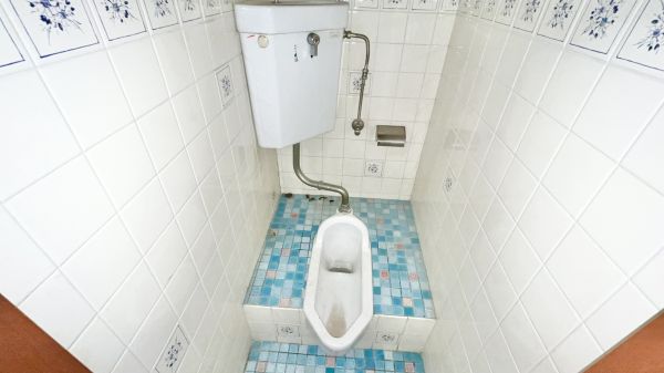 公園ハイツ1階1R トイレの画像