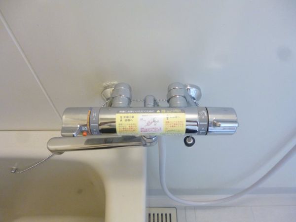 エクセレンス2階3LDK その他①の画像