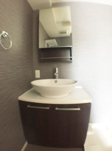 Haus Ruhe 高Haus Ruhe 高畑1階1R 洗面所の画像