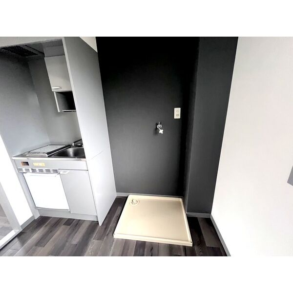 大昭マンション04階1R その他①の画像