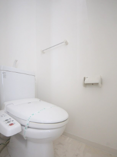 ドゥーエ谷町10階1LDK トイレの画像