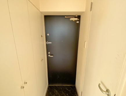 ドゥーエ谷町11階1LDK 玄関の画像