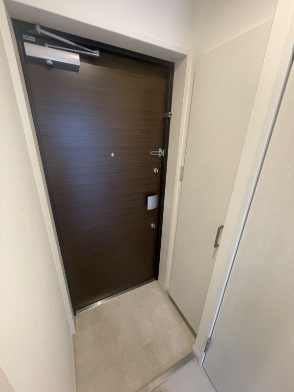 GRAND STEADY西田辺5階1LDK 玄関の画像
