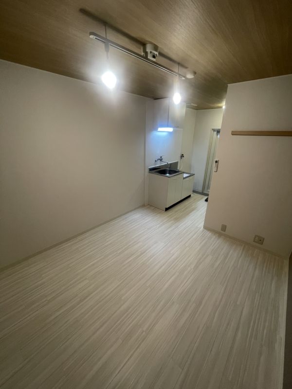 グレース平野3階1R 部屋①の画像