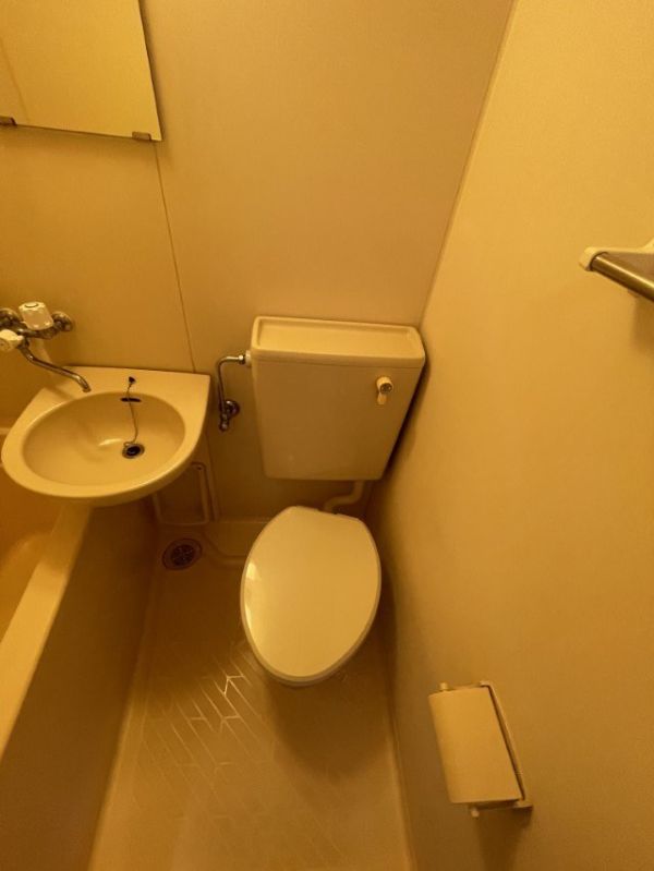 ロアール平針3階 トイレの画像