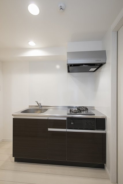 lapislazuli2階1R キッチンの画像