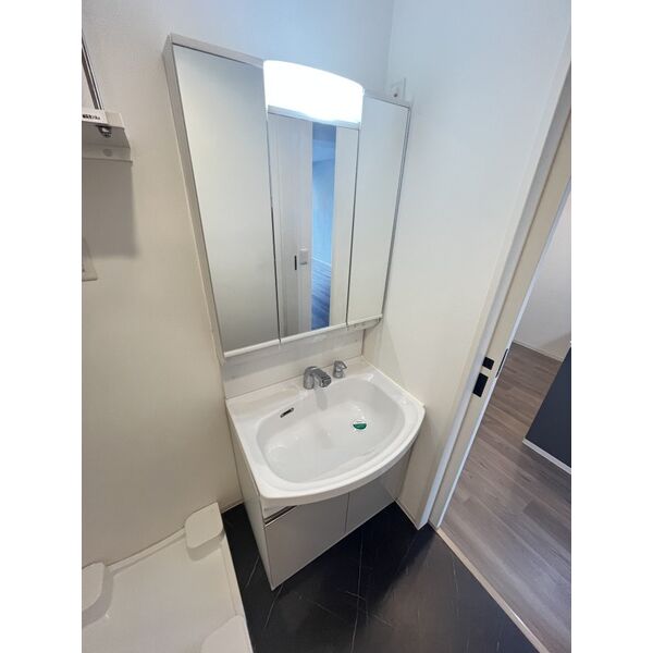 レジュールアッシュ塚本レジデンス10階1LDK 洗面所の画像