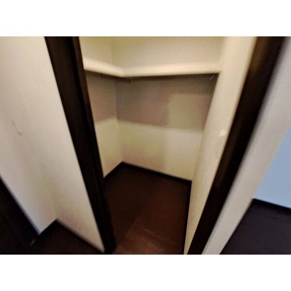 グランカーサ難波元町3階1LDK 収納の画像