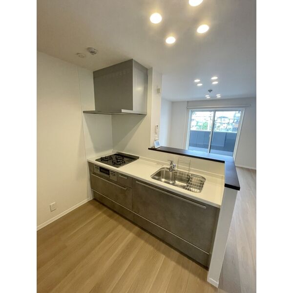 シャーメゾン アヴァンス03階2LDK キッチンの画像