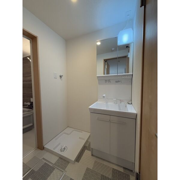 F+style藤井寺西古室02階1LDK 洗面所の画像