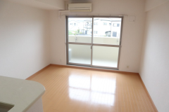 りんくうアドミラブル2階1R リビングの画像