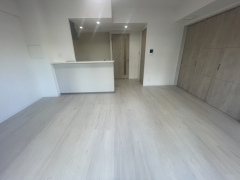 メゾンドボヌール弁天町2階2LDK リビングの画像