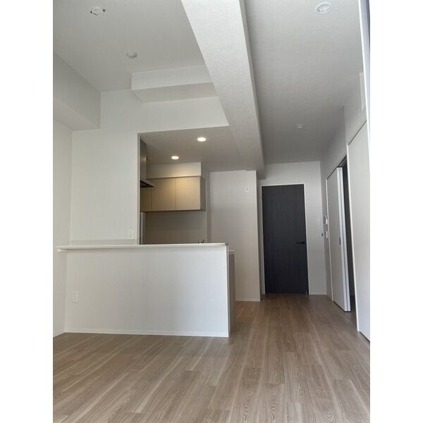 コンフォリア・リヴ大阪本町15階2LDK その他①の画像