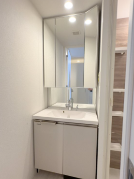 コンフォリア・リヴ大阪本町13階1DK 洗面所の画像