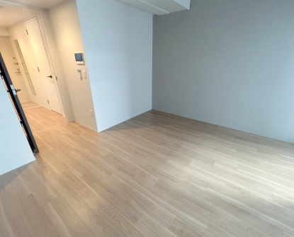 コンフォリア・リヴ大阪本町15階1K その他①の画像