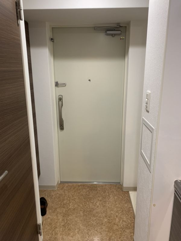 Luxe新大阪SOUTH3階1K 玄関の画像