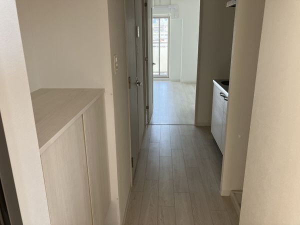 エグゼ大阪CITYアインツ5階1K 玄関の画像