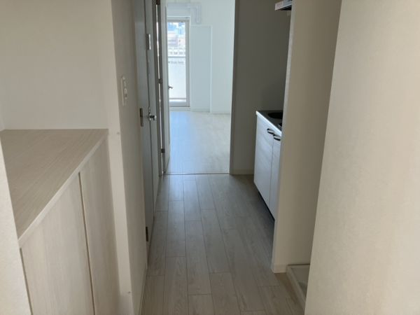 エグゼ大阪CITYアインツ7階1K 玄関の画像