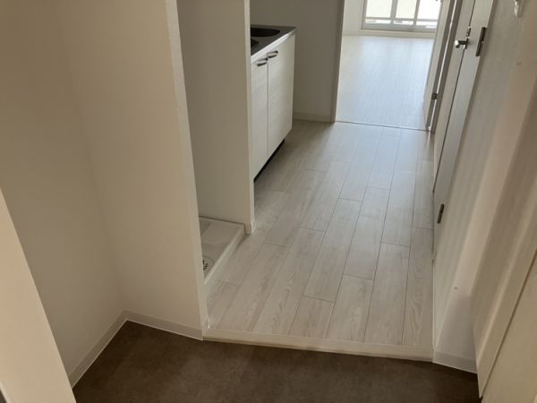 エグゼ大阪CITYアインツ8階1K 玄関の画像