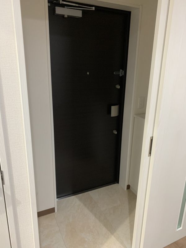 ユニッソン朝潮橋2階1K 玄関の画像