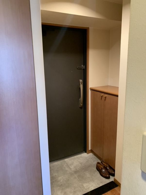 プレサンス難波OCAT前7階1K 玄関の画像