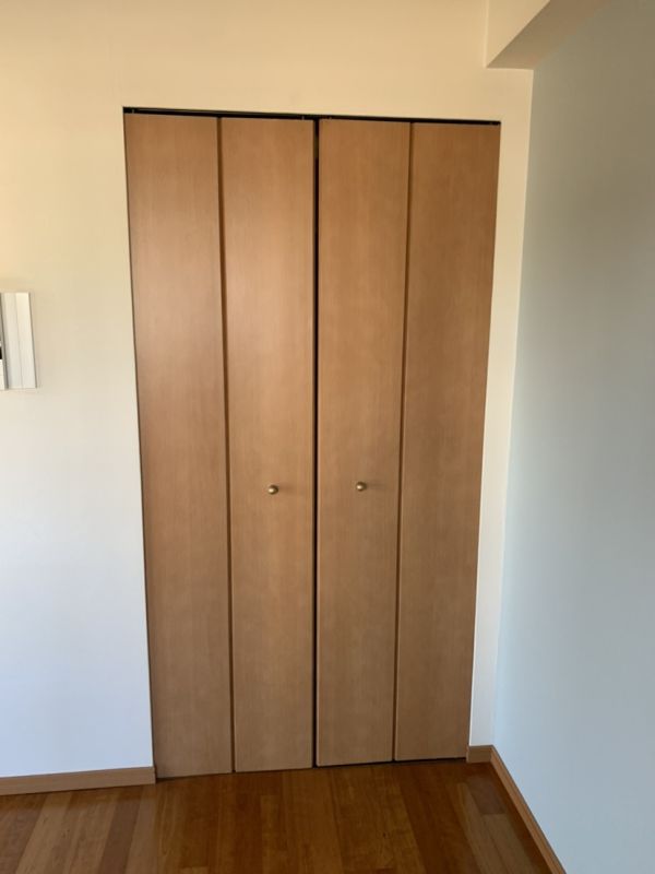 プレサンス難波OCAT前7階1K 収納の画像