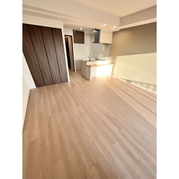 スプランディッド中百舌鳥7階1LDK リビングの画像