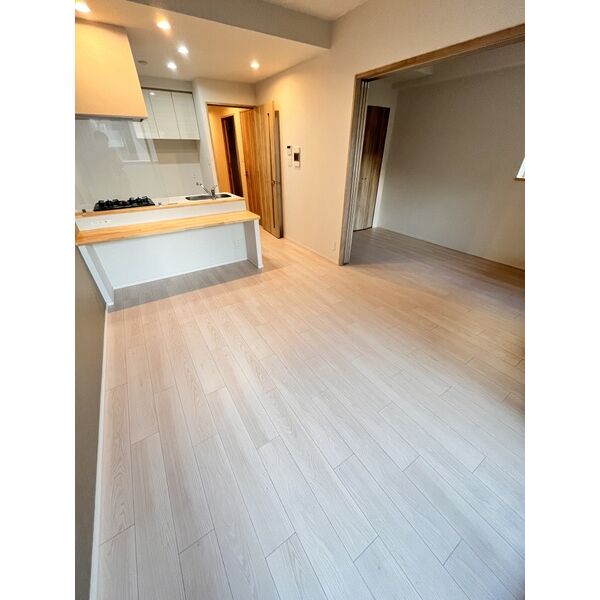 スプランディッド中百舌鳥2階2LDK リビングの画像