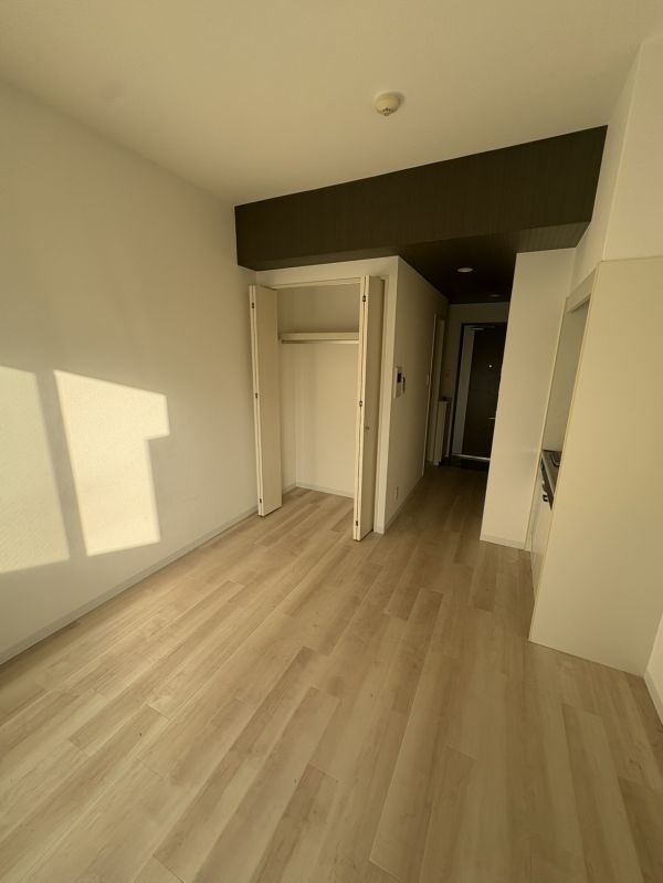 エルミタージュ難波南V10階1R 部屋②の画像