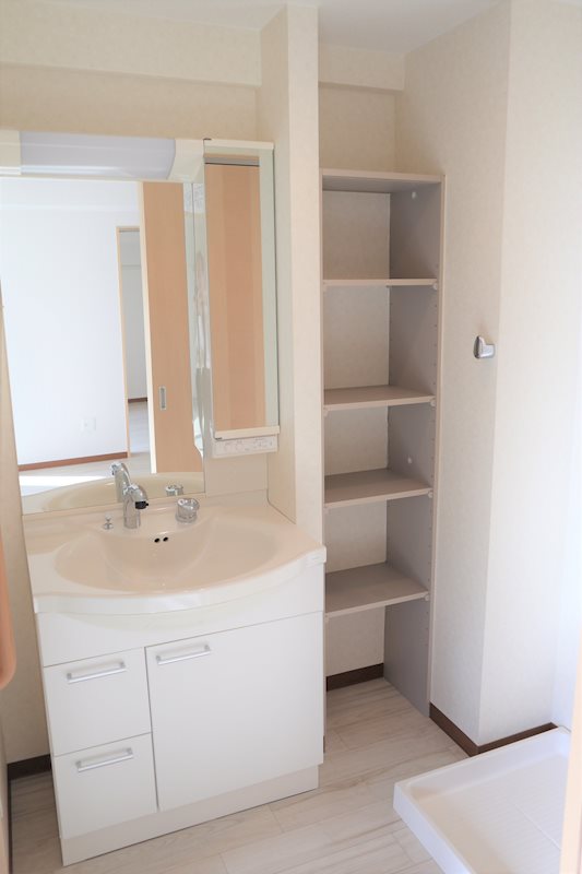 レジデンス八楽5階1DK 洗面所の画像