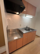 ラ・エスペランサ1階1K キッチンの画像