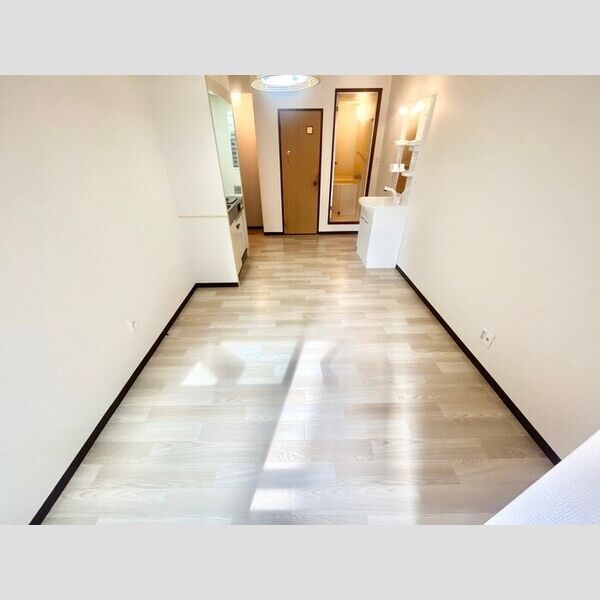 大日ハイム01階1R 部屋①の画像