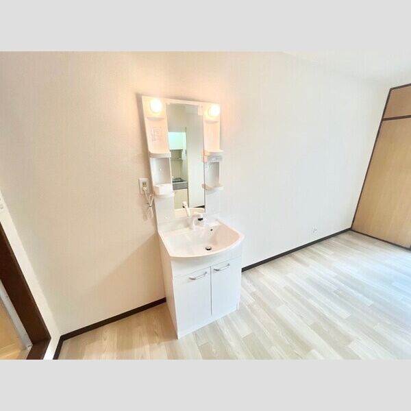 大日ハイム01階1R 洗面所の画像