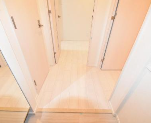 スプランディッド上本町WEST13階2LDK 玄関の画像